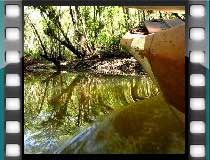 Passeio de canoa no mangue de Itacaré.
Clique e assista o video.