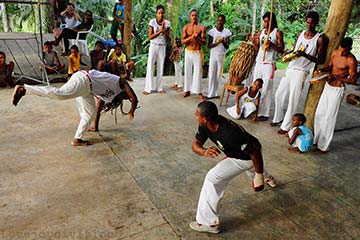Cobrinha Capoeira and Martial Arts